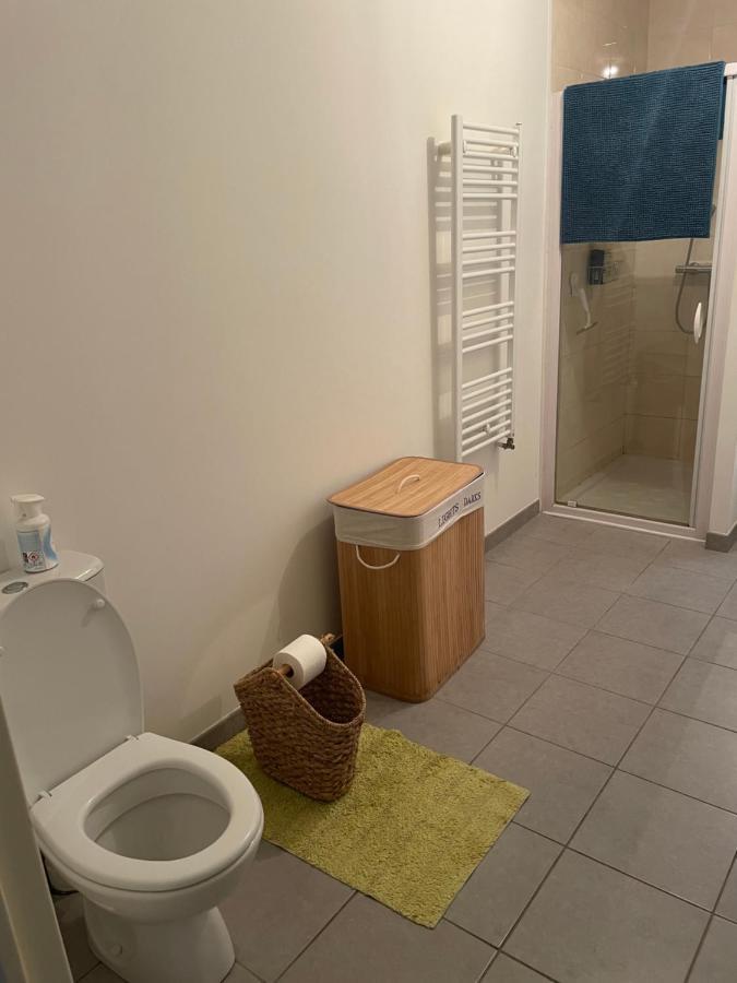 Appartement Avec Terrasse Proche De Rennes Сен-Жак-де-ла-Ланд Экстерьер фото
